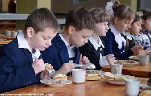 Калининградские власти для питания школьников намерены заменить импортное мясо на местное