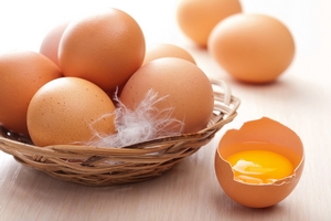 Гурьевская птицефабрика увеличила производство куриных яиц 