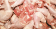У наших экспортеров есть шансы кратно увеличить объем поставок птицы в Китай