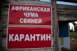 В Курской области снимают карантин по АЧС