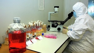 Российские вирусологи подтвердили наличие в белорусских сосисках вируса АЧС