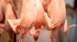 Японский рынок птицы выиграет от роста цен на свинину и говядину