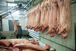 Россельхознадзор обнаружил в мясном цехе Красноярска более 3,5 тонн свинины с опасной инфекцией