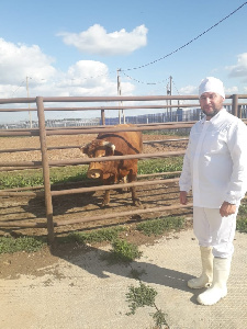 Кооператив из Татарстана при поддержке Минсельхозпрода РТ построил линию по убою КРС