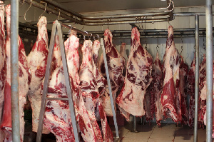 Оренбургско-итальянское предприятие OrenBeef показало рекордные убытки в 2020 году