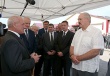 Лукашенко поручил строить экономически выгодные свинокомплексы