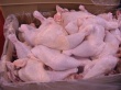 За полтора месяца Украина экспортировала в ЕС пять тысяч тонн курятины