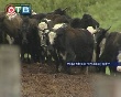 Цены на аренду земли ставят под вопрос развитие фермерского хозяйства в Уссурйиском ГО