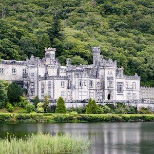 Рынок баранины Шотландии демонстрирует рост на фоне высокого спроса и ограниченного предложения