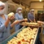 По поручению Правительства ХМАО, РАД выставляет на торги «Птицефабрику «Нижневартовскую»