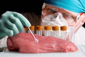 Ученые создали светящийся пластырь, определяющий уровень свежести мяса