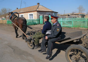 Как регистрировать кражу коровы