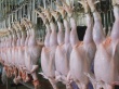 Две птицефабрики в Акмолинской области уличены в ценовом сговоре
