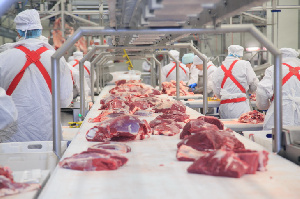 Китайская компания инвестирует 100 миллионов долларов в производство мяса в Узбекистане