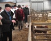 В 2012 году в Мордовии будет построено более 20 малых ферм