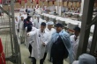 Глава Мордовии Владимир Волков: «Мы открыли один из крупнейших в России заводов по переработке мяса птицы»