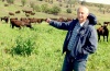 Австралийское ускорение для орловских рысаков