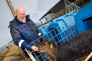Красноярский край выделит более 55 млн рублей на поддержку фермеров