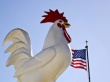 Куры, яйца и индейки создают рабочие места и обеспечивают экономическое развитие США