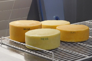 Сыроваренный завод за 12 миллионов выставили на продажу в Новосибирске