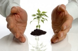 ГД предлагает обеспечить доступность кредитов для предприятий АПК