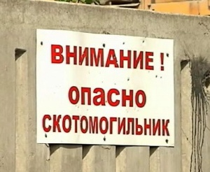 Алтайские животноводы построили скотомогильник в Топчихинском районе