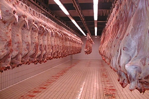 Сроки ввода крупнейшего мясоперерабатывающего завода в Калмыкии перенесены на 2018 год