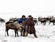 Предприятия Ямальского района готовы к началу забойной кампании Предприятия Ямальского района готовы к началу забойной кампании
