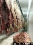 Tonnies Fleisch разведет свиней в России