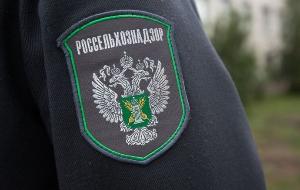 В Красноярске задержали 1,8 тонны свинины, зараженной листериями