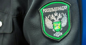 Омская область: Россельхознадзор намерен организовать внеплановые проверки птицефабрик