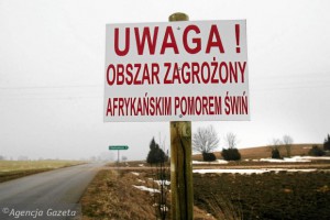 В Польше фермеры перекрыли трассу