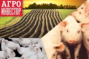 27 ноября 2015 состоится XV ежегодная конференция об инвестициях в АПК "AgrobusinessForum—2015" 27 ноября 2015 состоится XV ежегодная конференция об инвестициях в АПК "AgrobusinessForum—2015"
