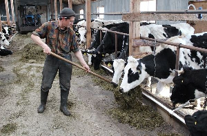 200 тонн продукции планируют произвести в 2018 году начинающие фермеры Бурятии