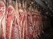 Динамика средних цен на говядину и говяжьи субпродукты импортного производства на условиях CIF Санкт-Петербург, данные на 05 ноября 2012 года