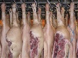 Киргизия: о проверке предприятий по производству продукции животного происхождения