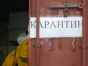 В трех районах Саратовской области снят карантин по бешенству