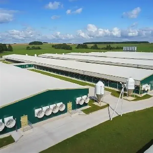 В Башкирии инвесторам в АПК возместят затраты на проектирование объектов