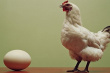 Птицеводам Приморья дают возможность экспортировать свою продукцию в Японию