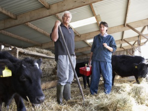 Семейные животноводческие фермы в Приангарье получили гранты на развитие