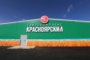 Виктор Толоконский побывал на свинокомплексе «Красноярском»