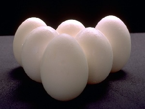 Производство яиц в Саратовской области увеличилось на 22%