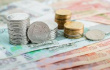 Более 1,5 млн рублей штрафов заплатят камчатские бизнесмены за продажу некачественного мяса