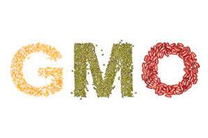 В Украине усилят контроль за продукцией с ГМО