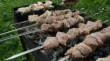 Свинина подорожала на 10% из-за дачников и сокращения импорта