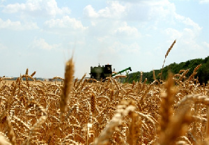 Депутаты Новосибирской области раскритиковали господдержку аграриев