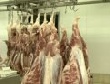 Поголовье коров и свиней в Пермском крае снижается, но возрождается овцеводство
