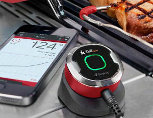 iPhone научили жарить мясо iPhone научили жарить мясо