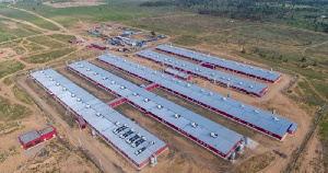 АО «Свинокомплекс Восточно-Сибирский» планирует открыть новые экспортные направления