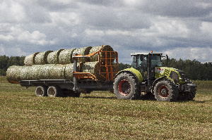 Мираторг»  заготовит порядка 5,5 млн тонн кормов в рамках межрегионального проекта КРС в 2019 году